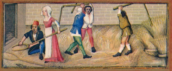 Luglio - trebbiatura, XV secolo, 1939