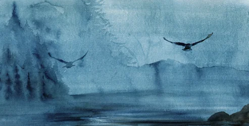 Uccelli nella nebbia blu