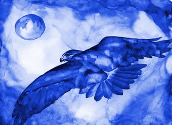 Il volo della Luna del Falco Blu
