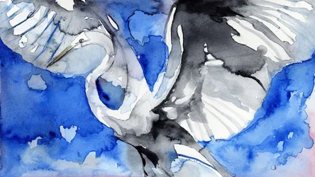 Airone blu in volo