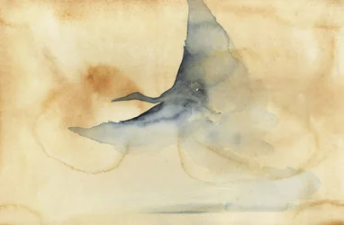 Uccello etereo in volo
