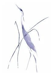 Grazioso airone blu