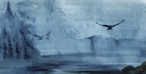 Volo sul Lago Misty
