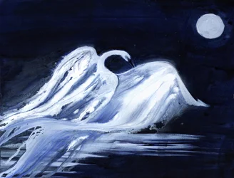 Cigno al chiaro di luna