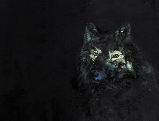 Il misterioso lupo nero