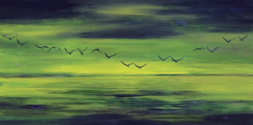 Volo verde sereno