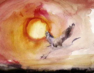 Tramonto con uccelli dai colori vivaci