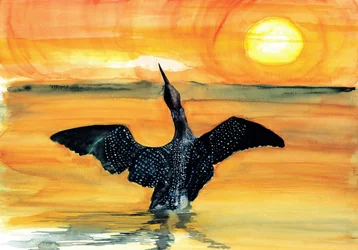 Tramonto vivace sul Loon
