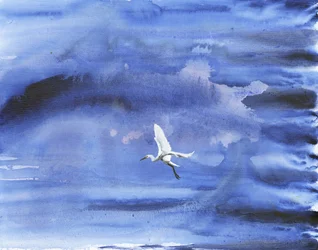 Airone bianco, cielo azzurro