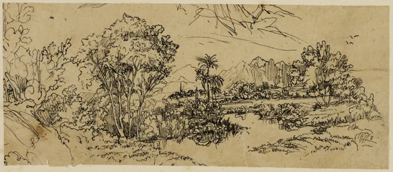 Paesaggio sulla costa occidentale
