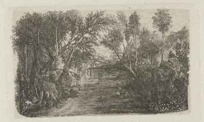 Paesaggio con ruscello e alberi sulle rive