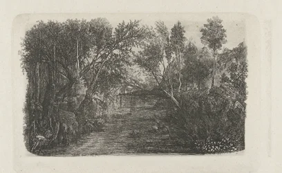 Paesaggio con ruscello e alberi sulle rive