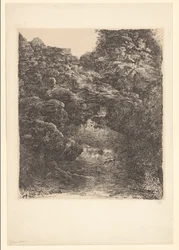 Paesaggio roccioso con ruscello e cascata
