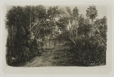 Il ruscello