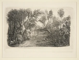 Il ruscello