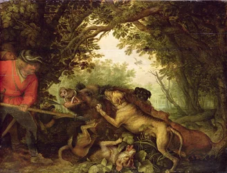 Caccia al cinghiale, 1611