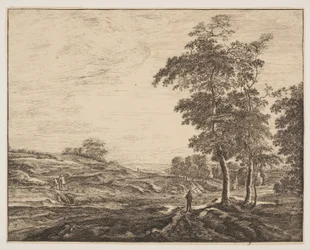 No. 3, da Sei vedute nel bosco dell