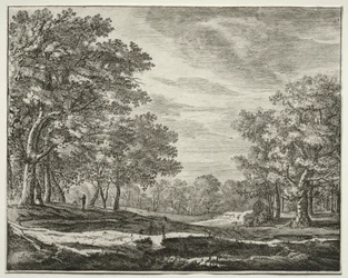 Sei vedute nel bosco dell