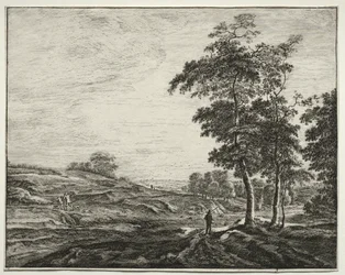 Sei vedute nel bosco dell