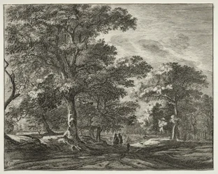 Sei vedute nel Bosco dell