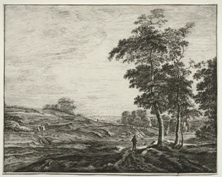 Sei vedute nel bosco dell