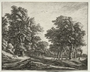 Sei vedute nel bosco dell