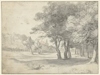 Veduta nel bosco dell
