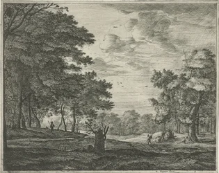 Passeggiatore nella foresta dell