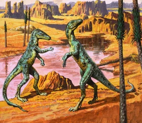 Saltoposuchus, illustrazione da "Ai tempi dei dinosauri, scoperta nel deserto", 1980 (gouache su carta)