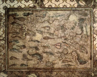 Arte romana: mosaico dei pesci