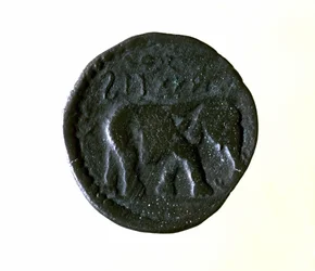 Moneta di Cartagine rappresentante un elefante. III o II secolo a.C.