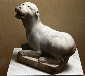 Cave Canem, Attenti al cane