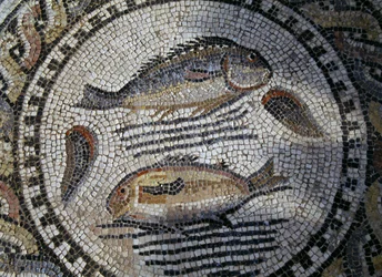 Pesci, mosaico nella città romana di Volubilis (Lista del Patrimonio Mondiale dell