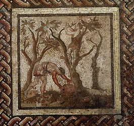 Raccolta dell