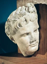 Testa dell