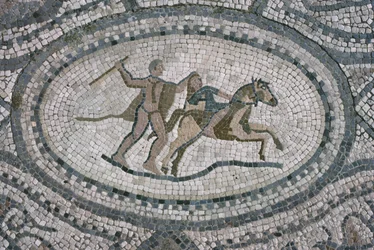 Ercole e la Regina delle Amazzoni, dal pavimento della 
