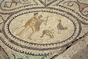 Ercole e gli uccelli stinfalidi, dal pavimento della 