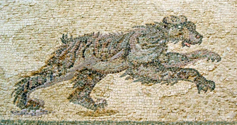 Scena di caccia (dettaglio di un orso)