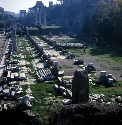 Luogo dove iniziò la Basilica Giulia da Cesare intorno al 54 a.C. e terminata da Augusto - Foro Romano, Roma