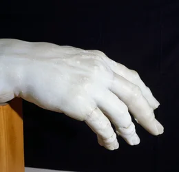 Mano destra di Polifemo, frammento del Gruppo di Polifemo, o Ulisse acceca Polifemo, scultura in marmo di Agesandro, Atenodoro e Polidoro, copia dell