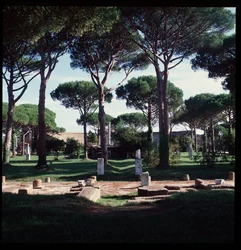 Arte romana: vista delle rovine del macellum (Piazza del Mercato) sito archeologico di Ostia