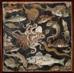 Arte romana: «Fauna marina». Mosaico del II secolo. Napoli, Museo Archeologico Nazionale, inv. 120177