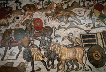 Arte romana: dettaglio del mosaico "La grande battuta di caccia" Carro trainato da buoi. 315-350 d.C. Piazza Armerina, Villa Romana del Casale