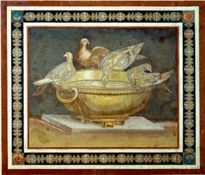 Arte romana: quattro colombe bevono a una fontana. Mosaico proveniente da Villa Adriana, o Villa d