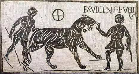 Arte romana: «Due donne domano una tigre» - Mosaico proveniente da Castro Pretorio a Roma, I secolo d.C. - Roma, Museo Nazionale Romano