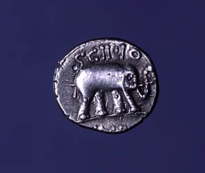 Moneta d