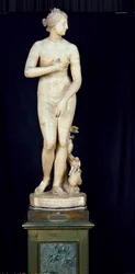 La Venere Medici, copia dell
