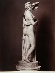 La Venere Callipigia