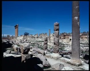 Le sei colonne del Tempio di Giove