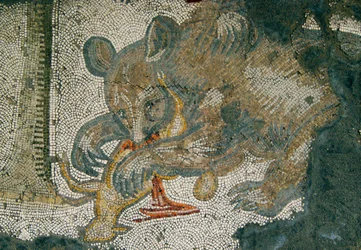 Immagine sconosciuta